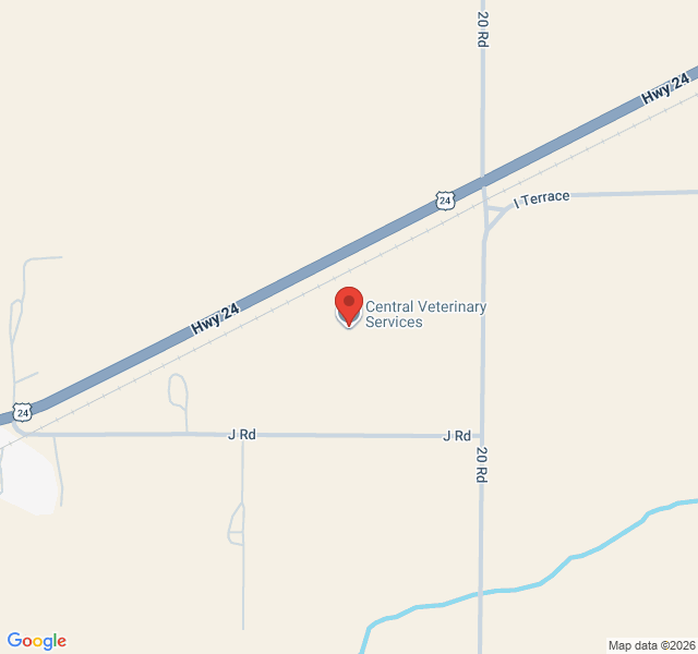 Standard Map View