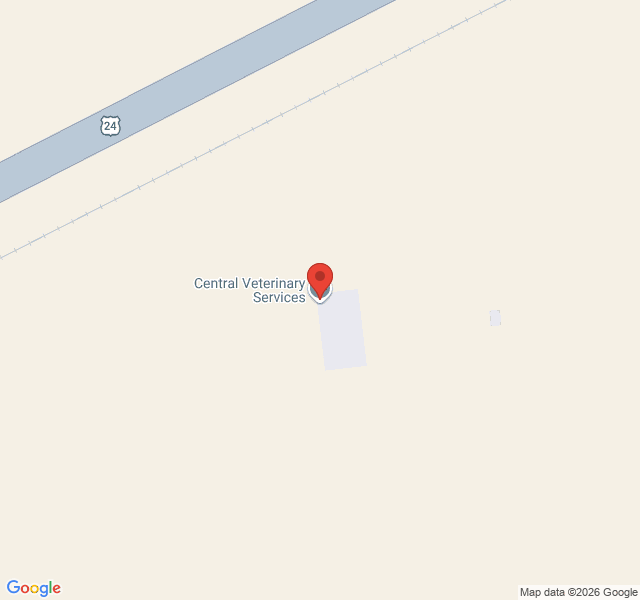 Zoomed Map View